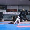 Чемпіонат і Першість Європи з тхеквандо